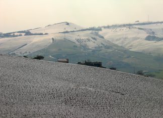 Planilla Del Gobierno Central: ¿Cómo Obtener Tu Beneficio Ya?