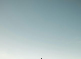 Verificar Concurso De Becas Ifarhu: ¿Estás Listo Para Ganar?