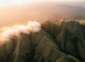 Cocle: ¿Cómo Transformar Tu Vida Con Este Poderoso Método?