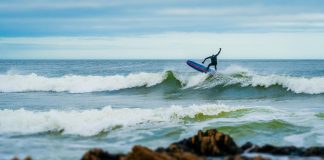 Cerro Punta: Descubre El Encanto Oculto De Este Paraíso Natural Noticias de Panamá