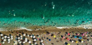 Mr Precio: Descubre Cómo Ahorrar en Tus Compras Diarias Noticias de Panamá