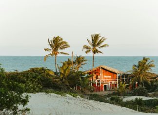 Martín Torrijos Espino: ¿Quién Es y Cuál Es Su Legado Político?