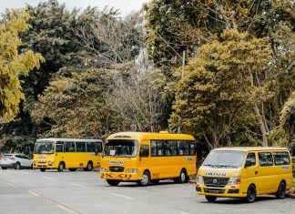 Estación Albrook: ¿Por Qué Es El Corazón Del Transporte En Panamá?