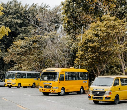 Estación Albrook: ¿Por Qué Es El Corazón Del Transporte En Panamá?