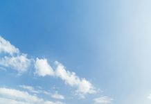 Símbolos Patrios Panamá: ¿Qué Significan y Cuál Es Su Historia?