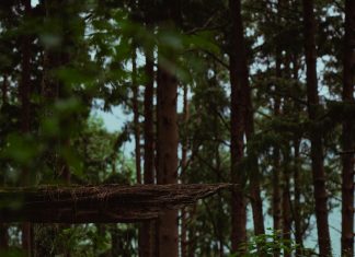 Kuna Yala: ¿Descubre El Secreto De Este Paraíso Natural?