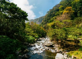 Chiriquí: Descubre Los Secretos Mejor Guardados De Esta Región