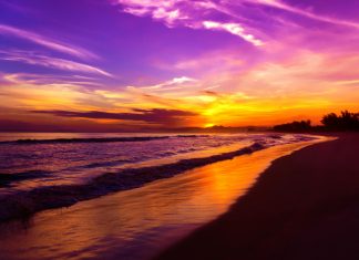 Meduca Provel Por Cédula: ¿Cómo Obtenerlo Rápidamente?