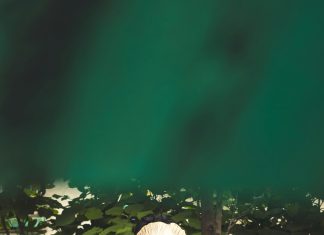 Tercer Pago De Pase-U 2024: ¿Cómo Asegurar Tu Beneficio?