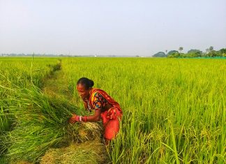 Meduca Nombramiento 2024: ¿Cómo Asegurar Tu Oportunidad Laboral?