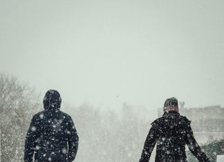 Pomerania: ¿Por Qué Este Encantador Perro Te Robará El Corazón?