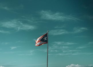 La Bandera De Panamá: Historia Fascinante Que Debes Conocer