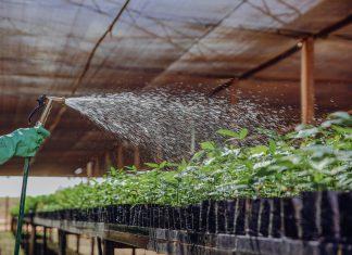 Clima Panama: Descubre Cómo Afecta Tu Estilo de Vida Diariamente