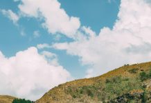 Panamá Y Catar: ¿Cuál Es El Secreto De Su Éxito Internacional?