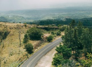 El Panama America: ¿Cómo Influyó En La Cultura Local?