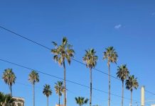 Amir Murillo: ¿Qué Lo Hace Destacar En El Mundo Del Fútbol?