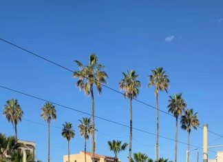 Amir Murillo: ¿Qué Lo Hace Destacar En El Mundo Del Fútbol?