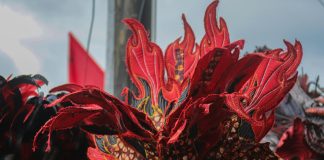 Konzerta Panama: ¿Cómo Disfrutar Al Máximo Esta Experiencia? pexels photo 31949078 Noticias de Panamá