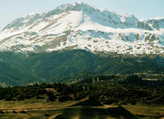 Lucy Molinar: ¿Cómo Transformar Tu Vida Con Su Inspiración?