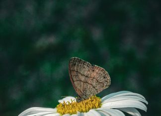 Salario Mínimo En Panamá: ¿Cómo Afecta Tu Calidad De Vida?