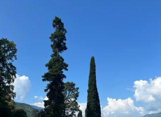 Esquema Efectivo: Cómo Organizar Tu Contenido Para Atraer Más Visitas