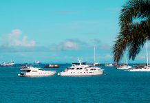 Verificar Bono Solidario Panamá: ¿Cómo Asegurar Tu Apoyo Económico?