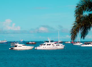 Vacunas Panamá Solidario: ¿Cómo Verificar Tu Registro Efectivamente?