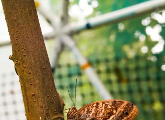 «Assa Panama: ¿Cómo Transformará Tu Experiencia De Viaje?»