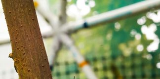 www Panama Solidario Gob Pa: ¿Cómo Acceder a Beneficios Clave? Noticias de Panamá