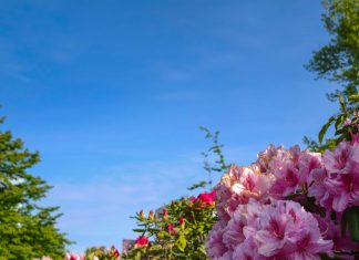 Planta Potabilizadora De Chilibre: ¿Cómo Asegura Agua Limpia?
