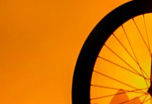 Gaby Carrizo: ¿Cómo Transformar Tu Vida Con Su Inspiración?