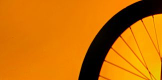 Gaby Carrizo: ¿Cómo Transformar Tu Vida Con Su Inspiración? Noticias de Panamá