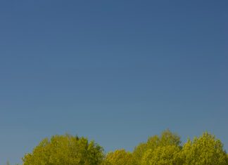 Carnavales 2025 Panama: ¿Qué Sorpresas Nos Traerán Este Año?