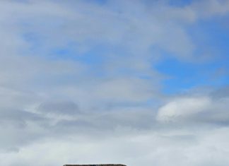 Galápagos Panamá: ¿Qué Secretos Esconde Este Paraíso Natural?