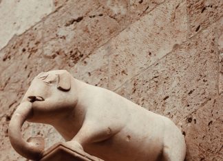 Pago De Pase U 2024: ¿Cómo Asegurar Tu Acceso Sin Estrés?