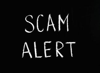 Provel Meduca: ¿Cómo Transformar Tu Vida con Este Secreto?