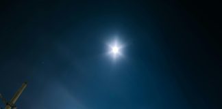 Tarjeta Metro Bus: Descubre Cómo Ahorrar en Tu Transporte Diario Noticias de Panamá