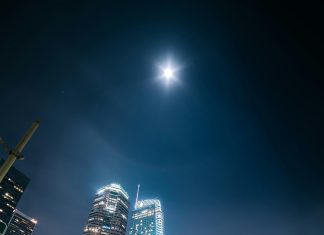 Tarjeta Metro Bus: Descubre Cómo Ahorrar en Tu Transporte Diario