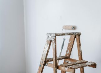 Mi Primer Empleo: ¿Cómo Encontrar Oportunidades Inesperadas?