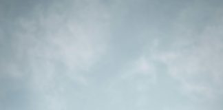 Bono Digital Panamá: ¿Cómo Aprovechar al Máximo Este Beneficio? Noticias de Panamá