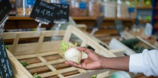 Mercado: ¿Cómo Transformar Tu Experiencia de Compra Hoy? Noticias de Panamá