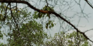 Vale Digital: ¿Cómo Transformar Tu Estrategia Online Efectivamente? pexels photo 9896720 1 Noticias de Panamá