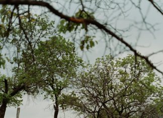 Formulario De Vale Digital: ¿Cómo Obtenerlo Y Aprovecharlo?