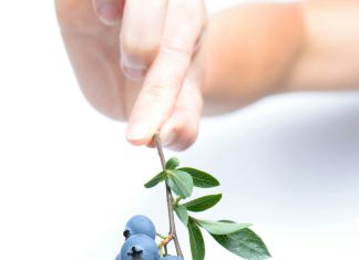 Pick Up Energía: Cómo Revitalizar Tu Día de Manera Natural