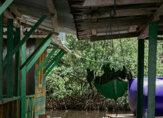 Autoridad Del Canal De Panamá: ¿Cómo Impacta En El Comercio Global?