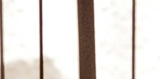 Victoriano Lorenzo: ¿Quién Fue Este Héroe Olvidado de la Historia? Noticias de Panamá