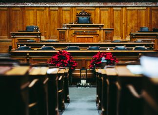 Tribunal Electoral: ¿Cómo Influyó en las Elecciones de Hoy?