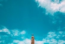 Panamá Vs. Francia: ¿Cuál Destino Sorprende Más a los Viajeros?