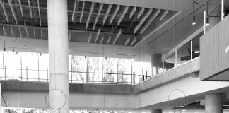 Área De Oportunidades: ¿Cómo Transformar Tu Vida Profesional? Noticias de Panamá