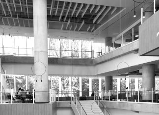 Área De Oportunidades: ¿Cómo Transformar Tu Vida Profesional?